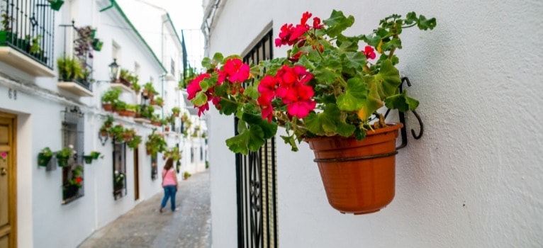Must-see Dörfer in Cordoba – Priego de Córdoba