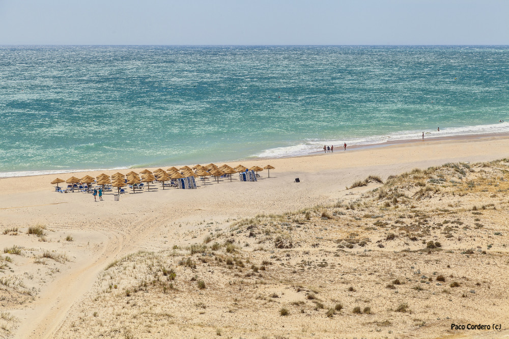 Beach of La Fontanilla, in Conil de la Frontera, Cadiz