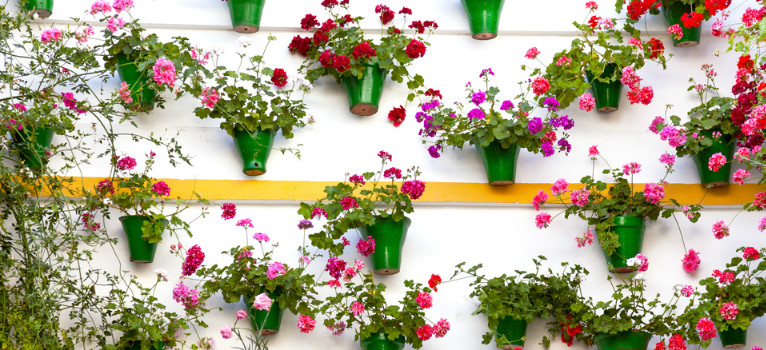 Festival de los Patios de Córdoba