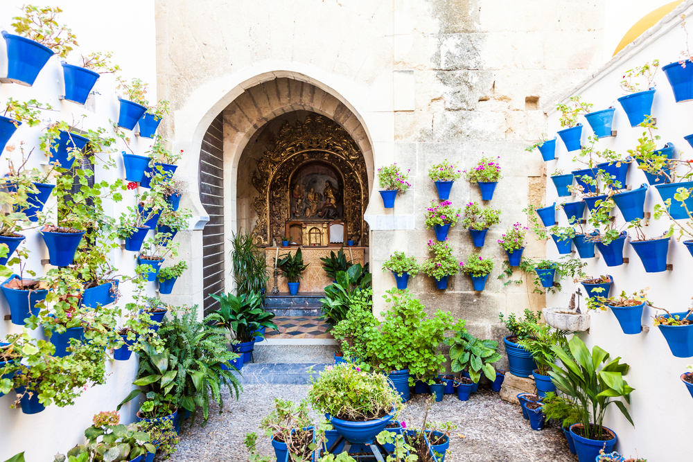 Patios festival in Cordoba