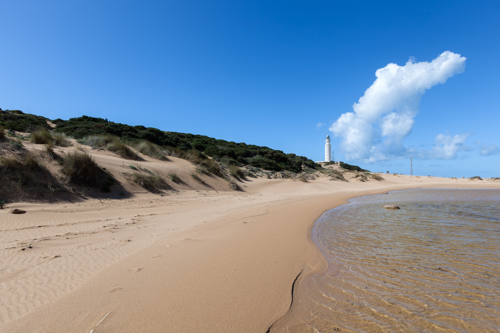 Trafalagar beach in Cadiz