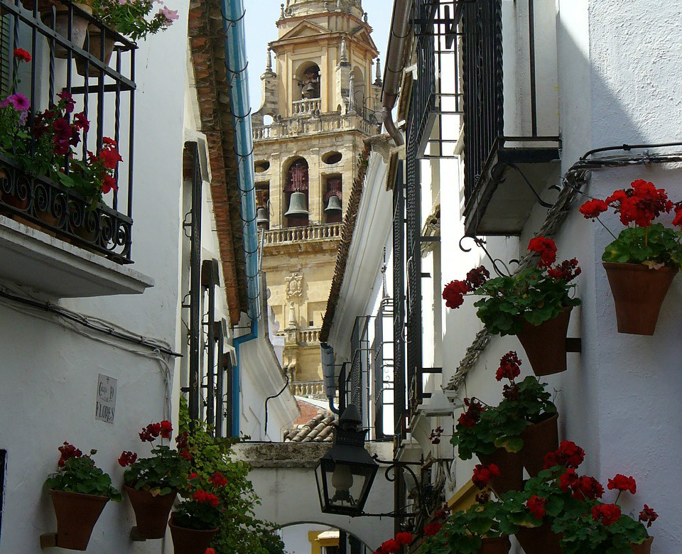 Calleja de las Flores with the Cathedral on the background