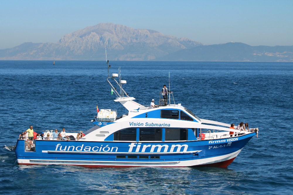 Things to do in Tarifa. firmm VISION new boat to whale watch.