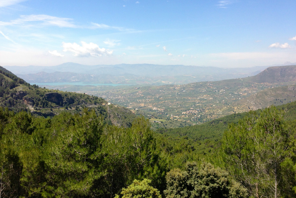 Parc Naturel de Sierras de Tejeda, Almihara y Alhama à Frigiliana