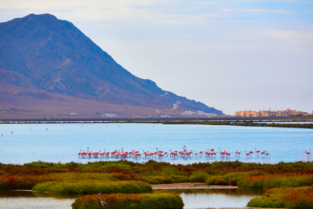 Cabo de Gata-Níjar natural park in Almería - Las Salinas