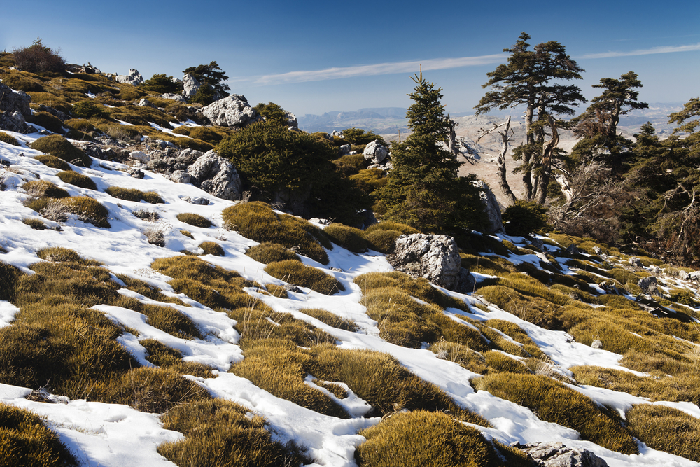 Le parc naturel Sierra de las Nieves à Malaga