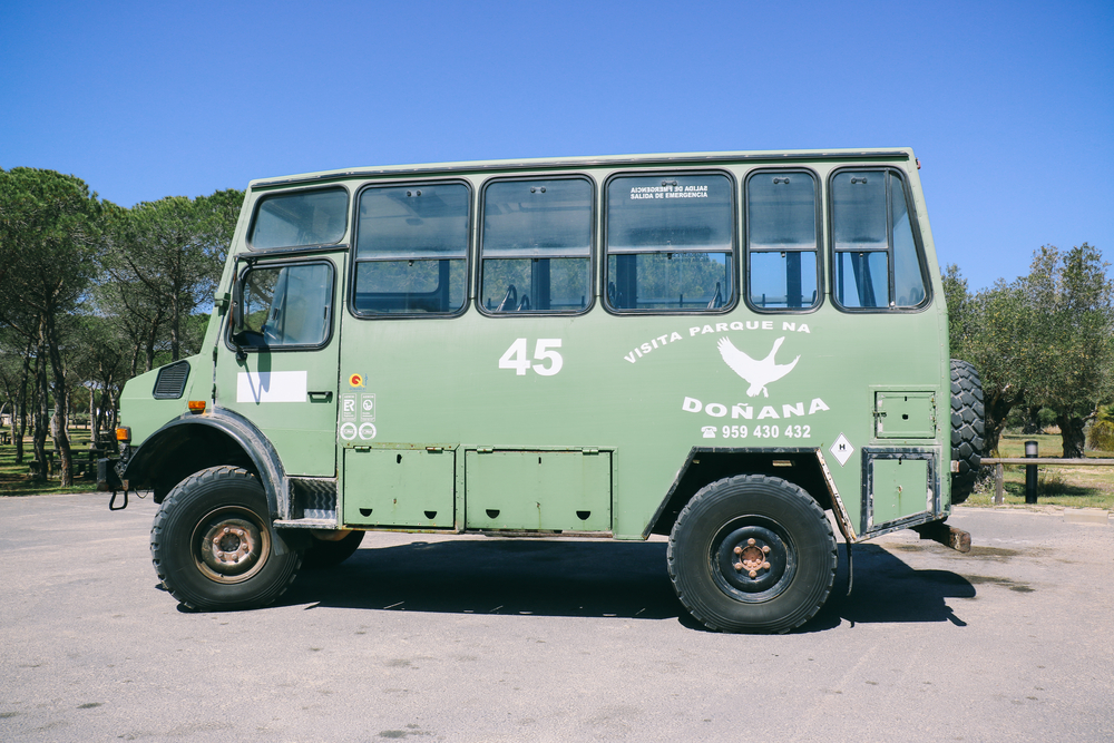 Visites guidées dans Doñana