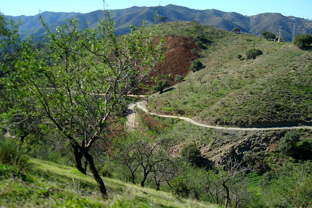 Pad van het Montes de Malaga Natuurpark