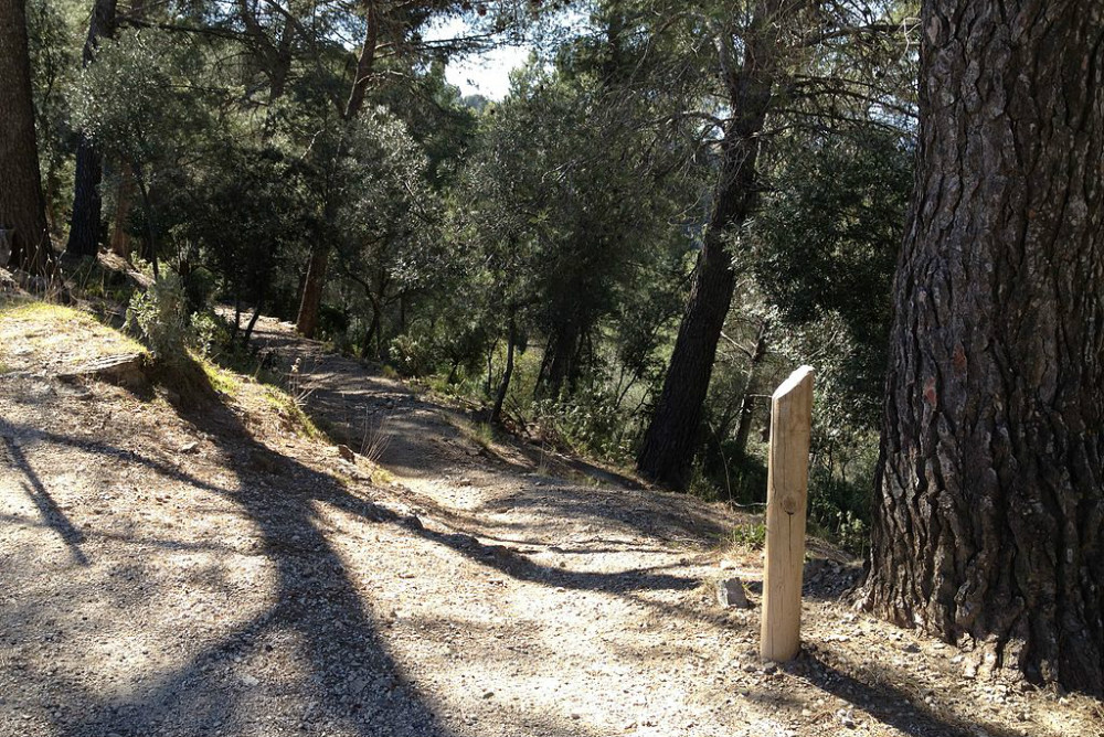 Walk through the Montes de Malaga natural park