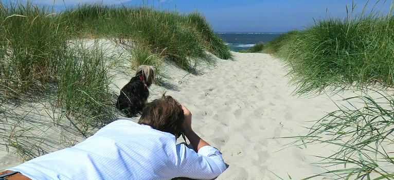 Playas para perros en Andalucía