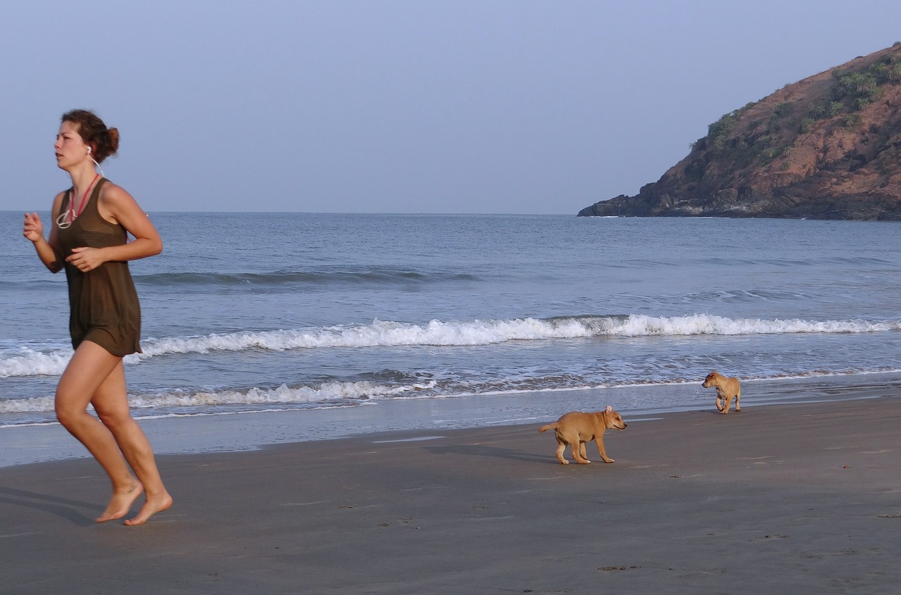 cachorros en la playa