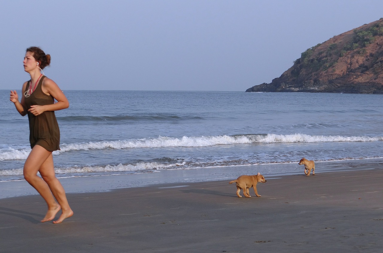 Chiots sur la plage