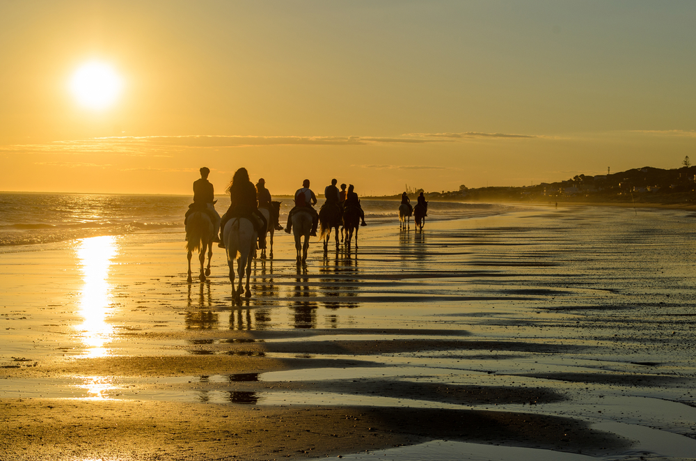 Horse riding in Costa de la Luz