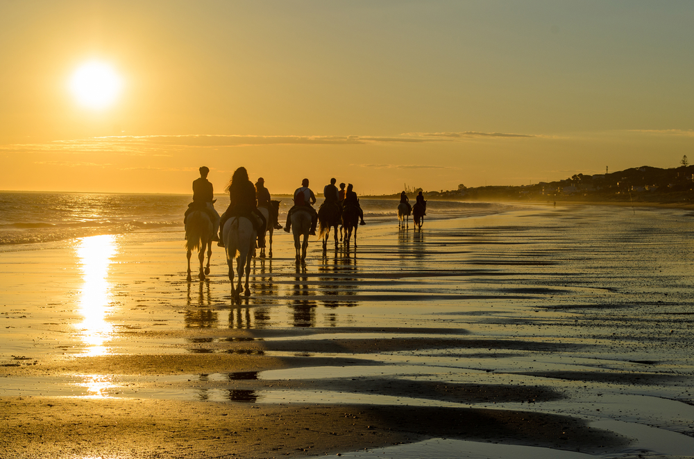 Promenade à cheval sur la plage sur la Costa de la Luz