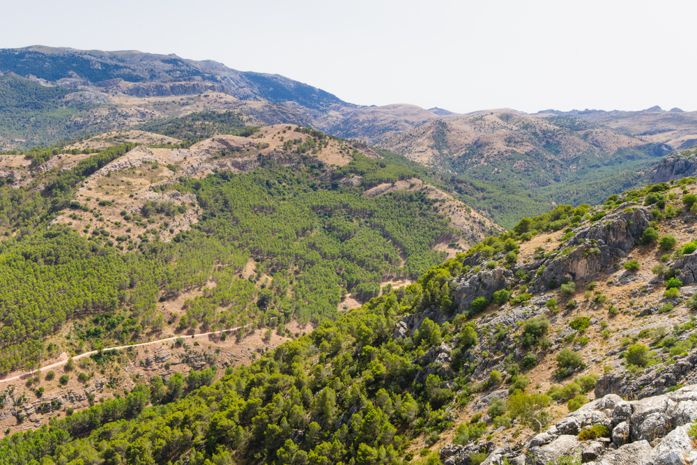 Landschap van het natuurpark sierra de las nieves