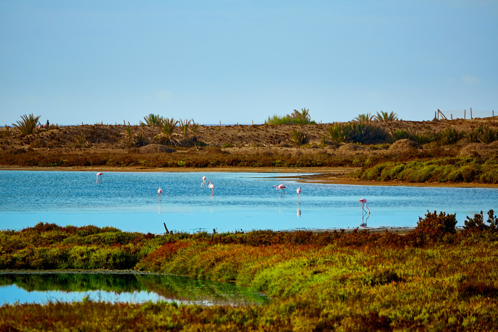 Las Salinas im Naturpark Cabo de Gata