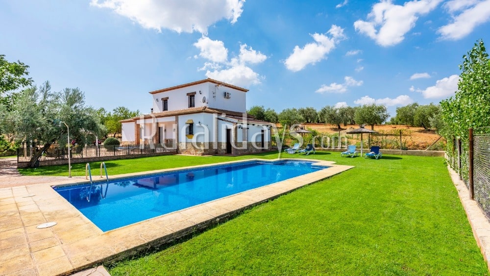 Holiday villa surrounded by olive yards in Ronda - MAL0669