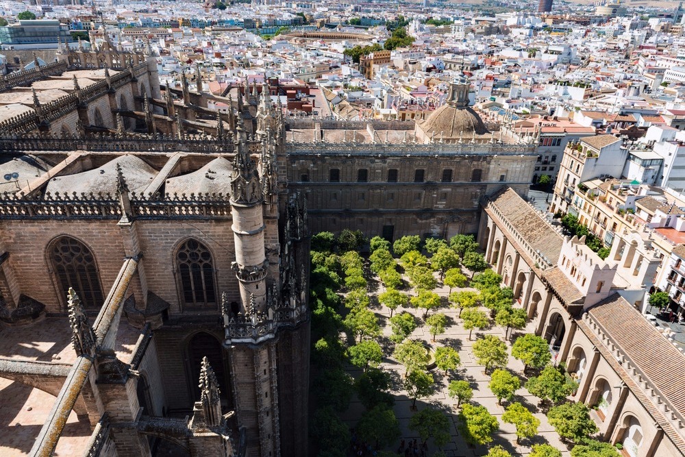 Orange Tree Patio in Seville Cathedral