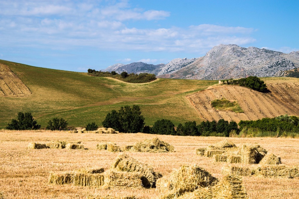 Sierra de Grazalema Naturpark - was es in Grazalema zu erleben gibt