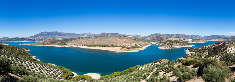 Iznajar Reservoir - birdwatching