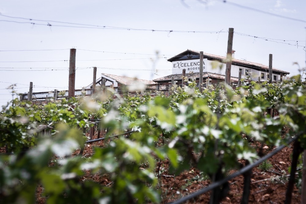 Bodegas Excelencia winery in Ronda