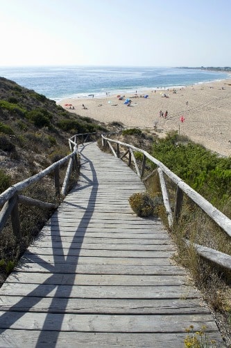 Wooden path that leads up to the Lighthouse of Trafalgar