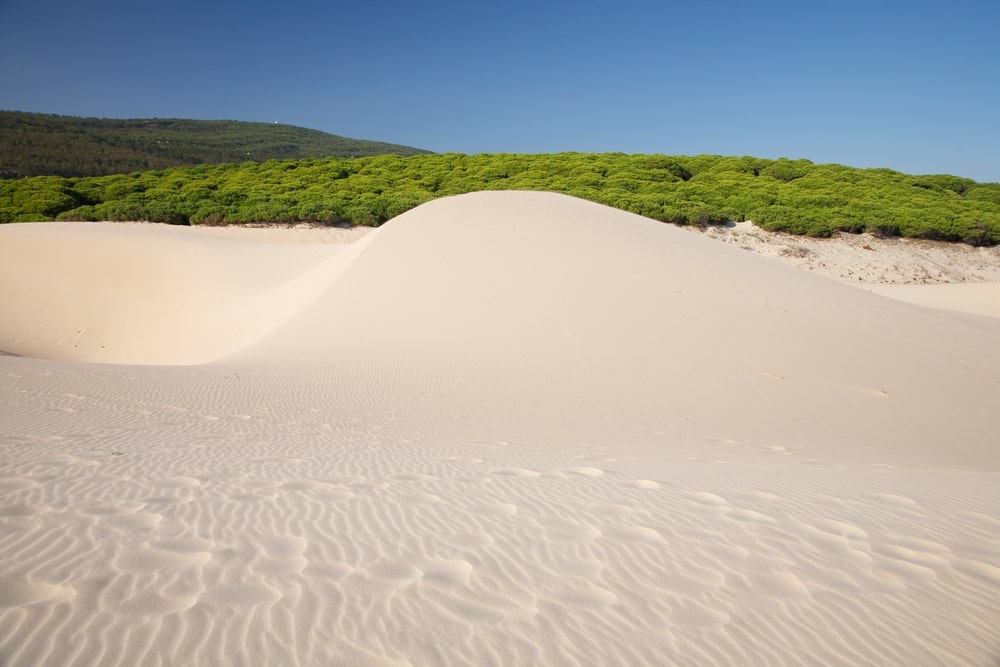 Grimpez en haut de la Duna de Bolonia