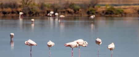 reservas naturales
