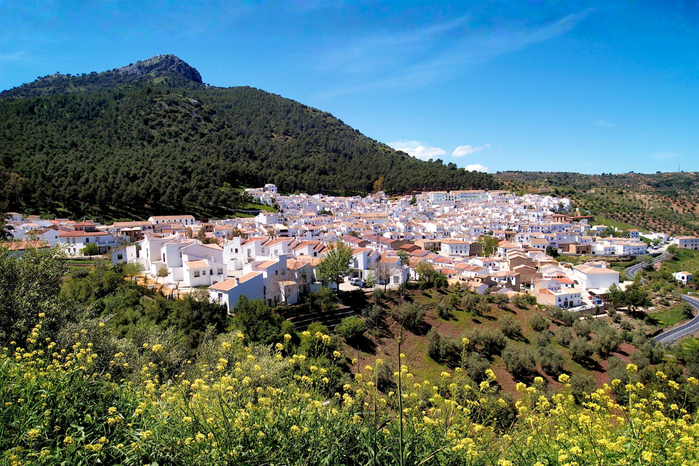 Vista panorámica de El Gastor